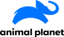 tv image